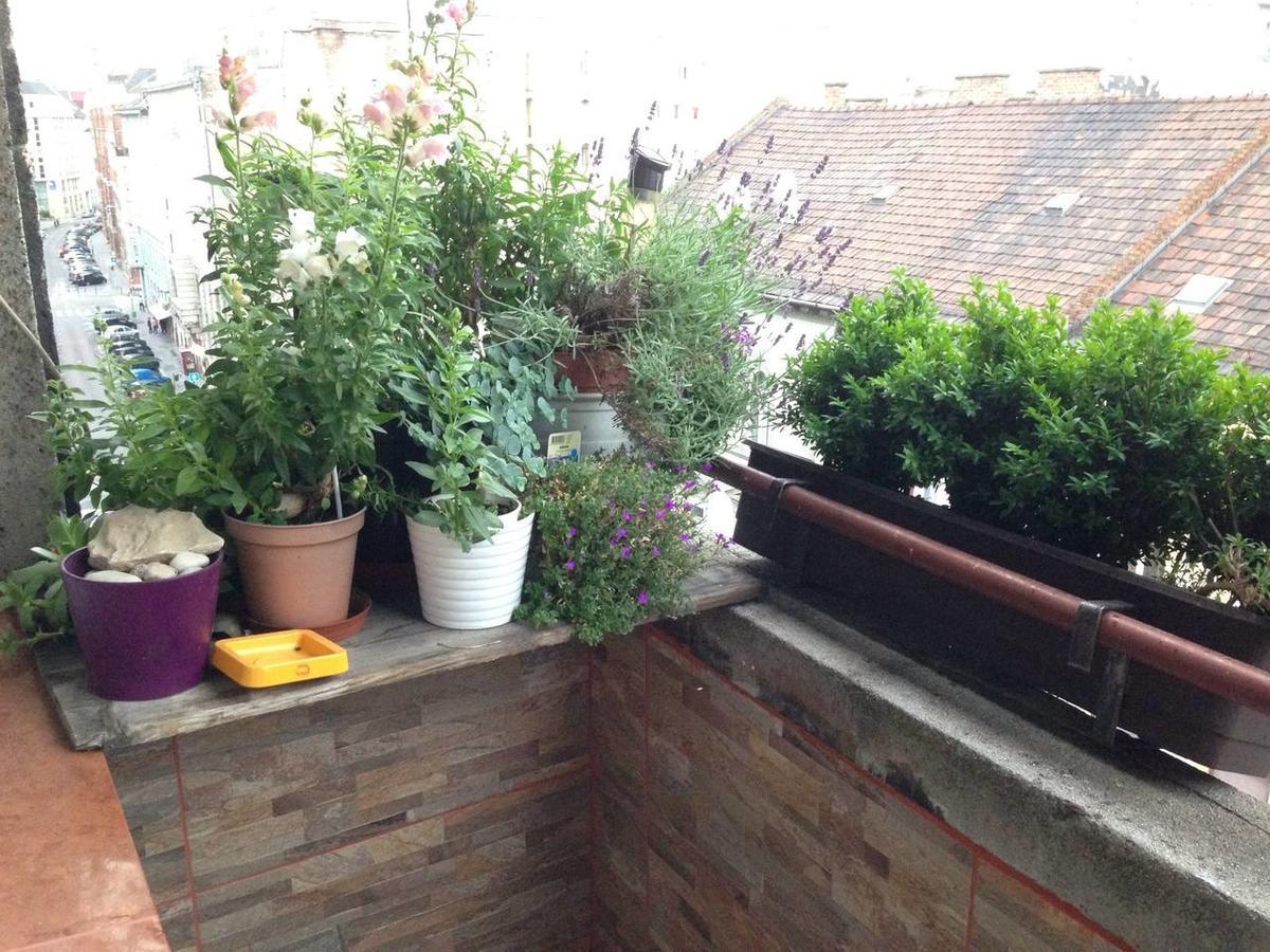 Lonyay Street Apartment Budapesta Exterior foto